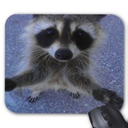 Tapis de souris personnalisé