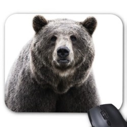 Tapis de souris personnalisé