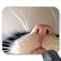 Tapis de souris personnalisé