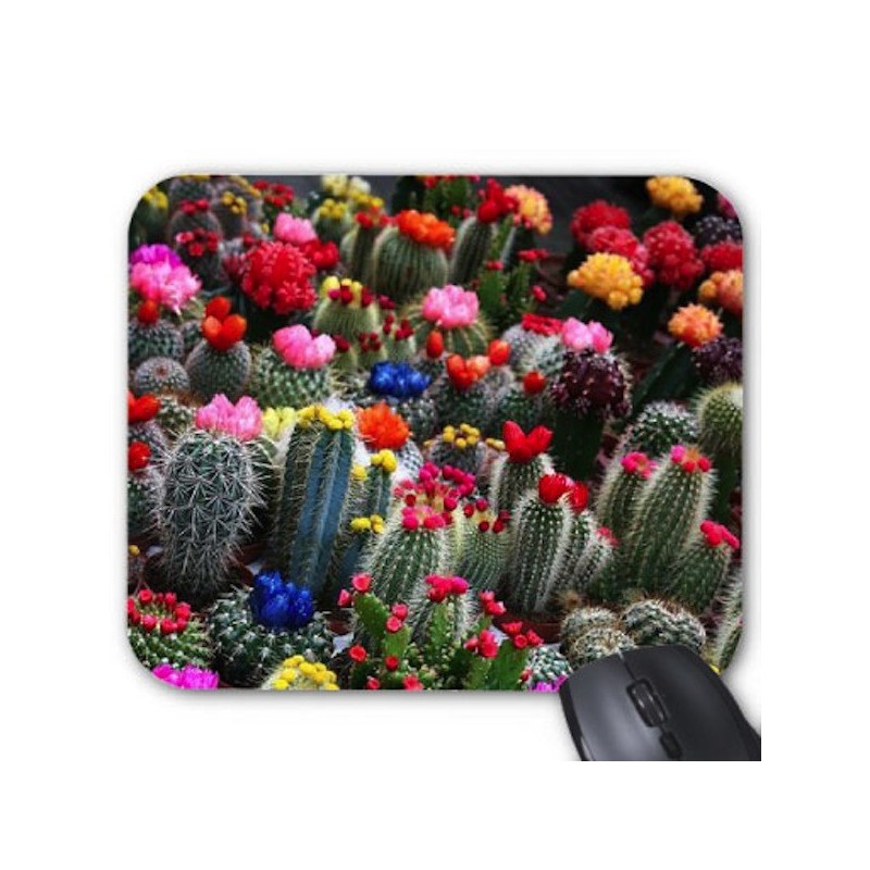 Tapis de souris