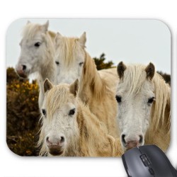 Tapis de souris cheval 