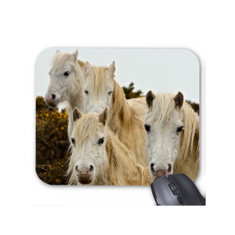 Tapis de souris cheval 