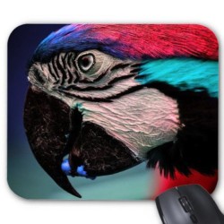 Tapis de souris perroquet 