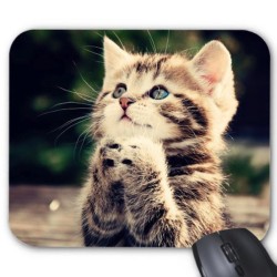Tapis de souris chat 