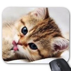 Tapis de souris chat 