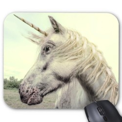 Tapis de souris cheval 