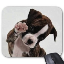 Tapis de souris chien 