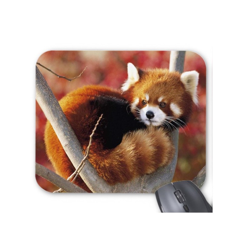 Tapis de souris panda roux