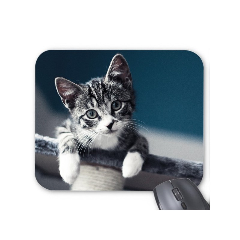 Tapis de souris chat 