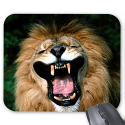 Tapis de souris lion  