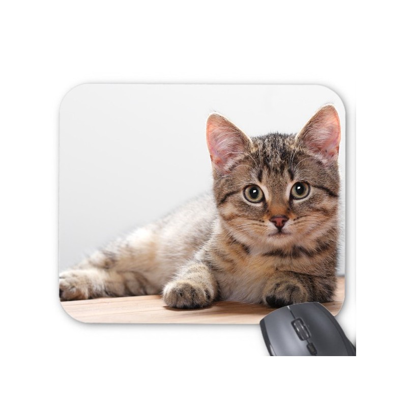 Tapis de souris chaton 