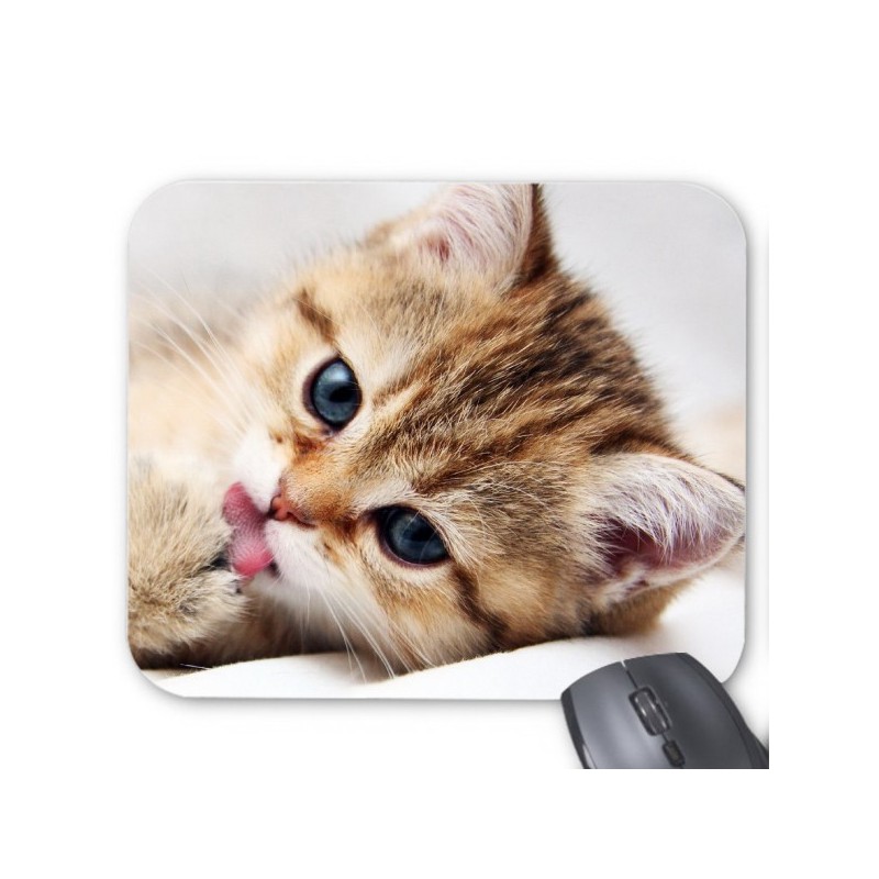 Tapis de souris chaton 