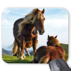 Tapis de souris dj singe 