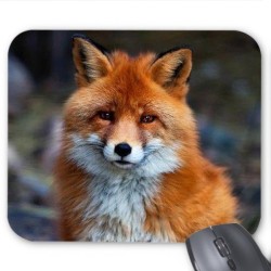 Tapis de souris renard