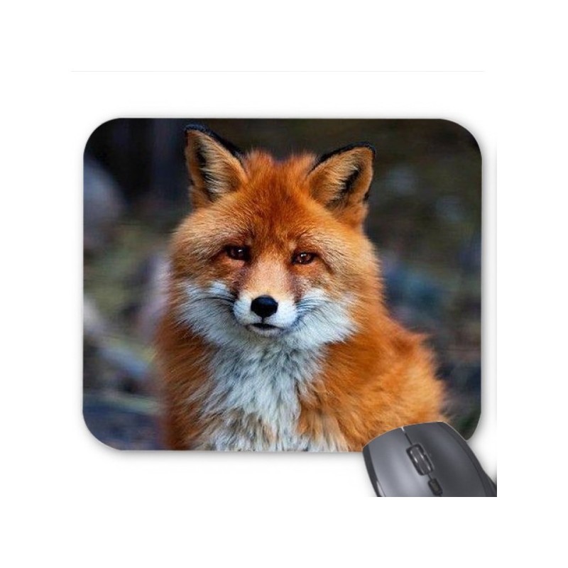 Tapis de souris renard