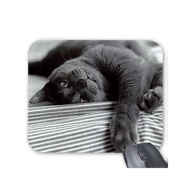 Tapis de souris chat gris 