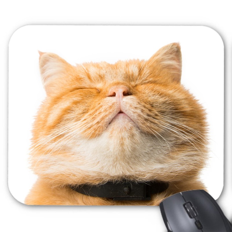 Tapis de souris chat