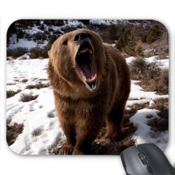 Tapis de souris ours