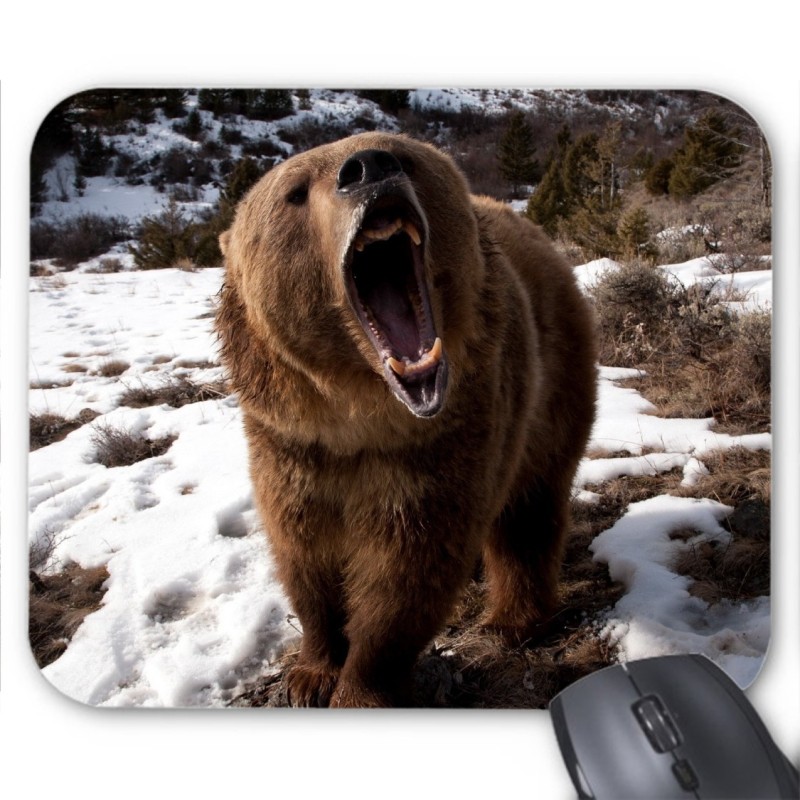 Tapis de souris ours