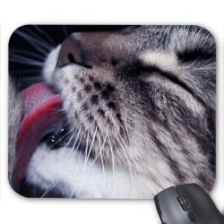Tapis de souris chat