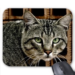Tapis de souris chat
