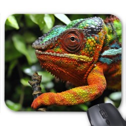 Tapis de souris caméléon