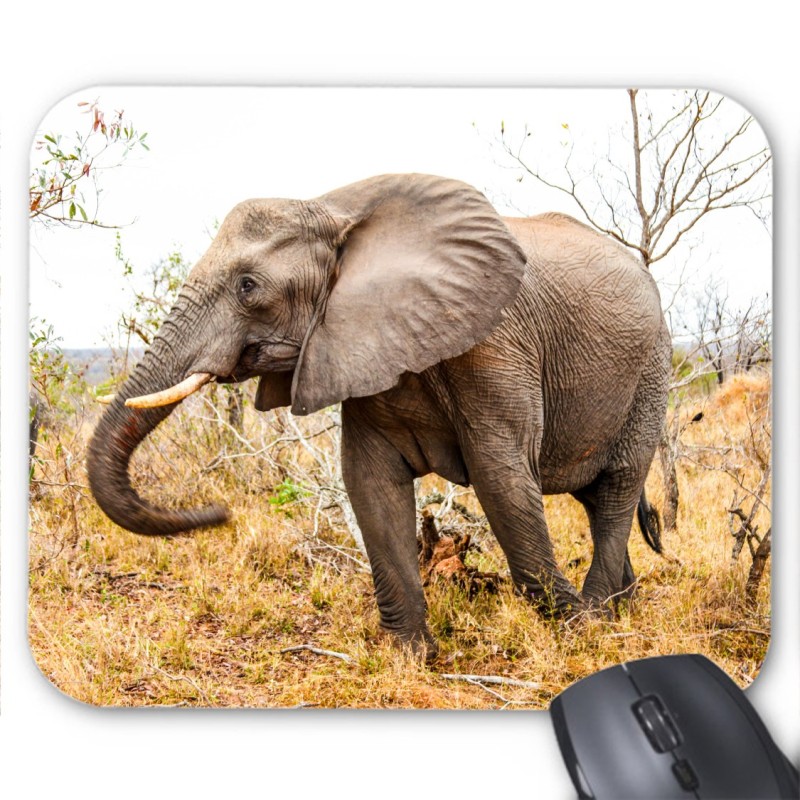 Tapis de souris éléphant 