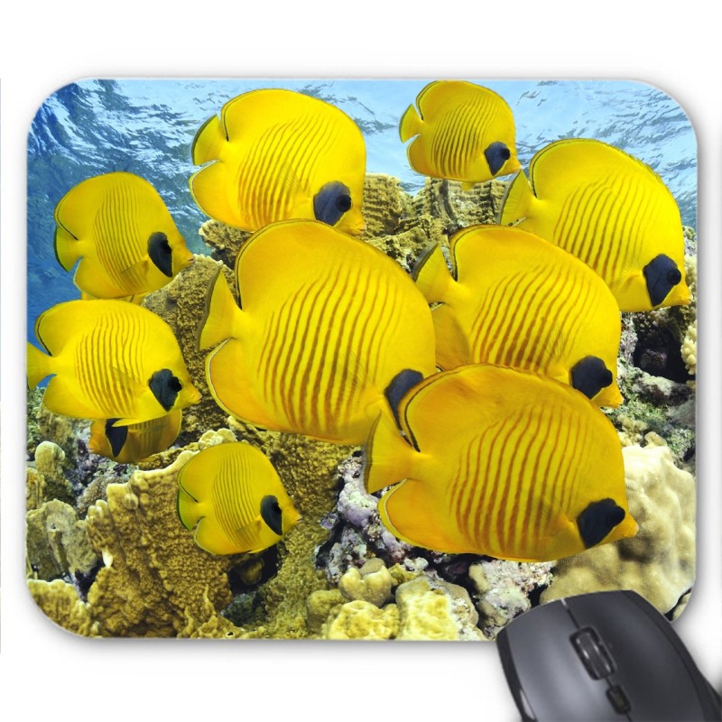 Tapis de souris poisson