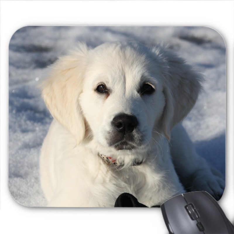 Tapis de souris chien blanc