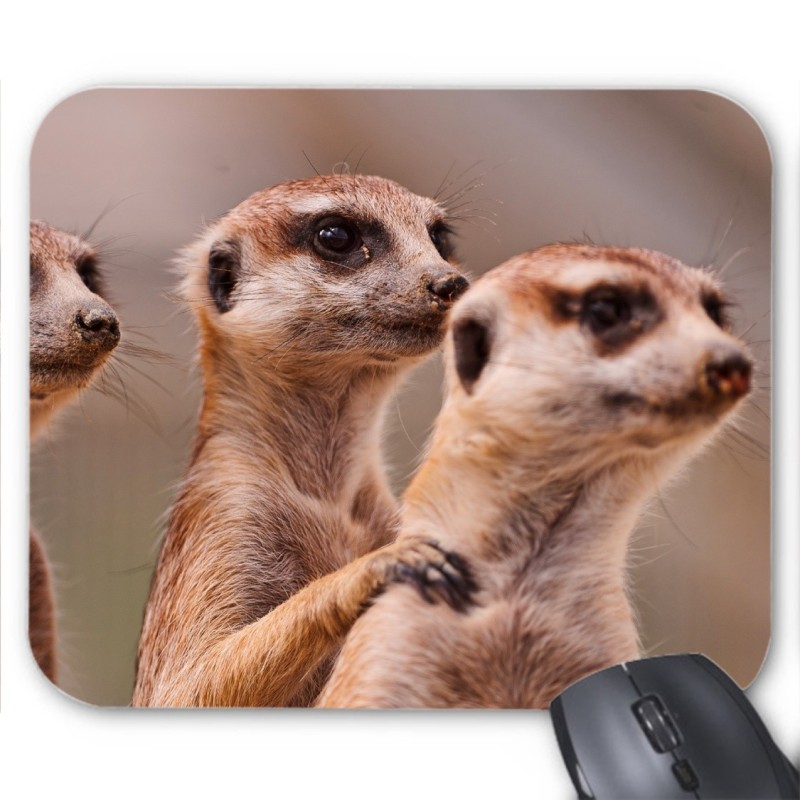 Tapis de souris animaux 