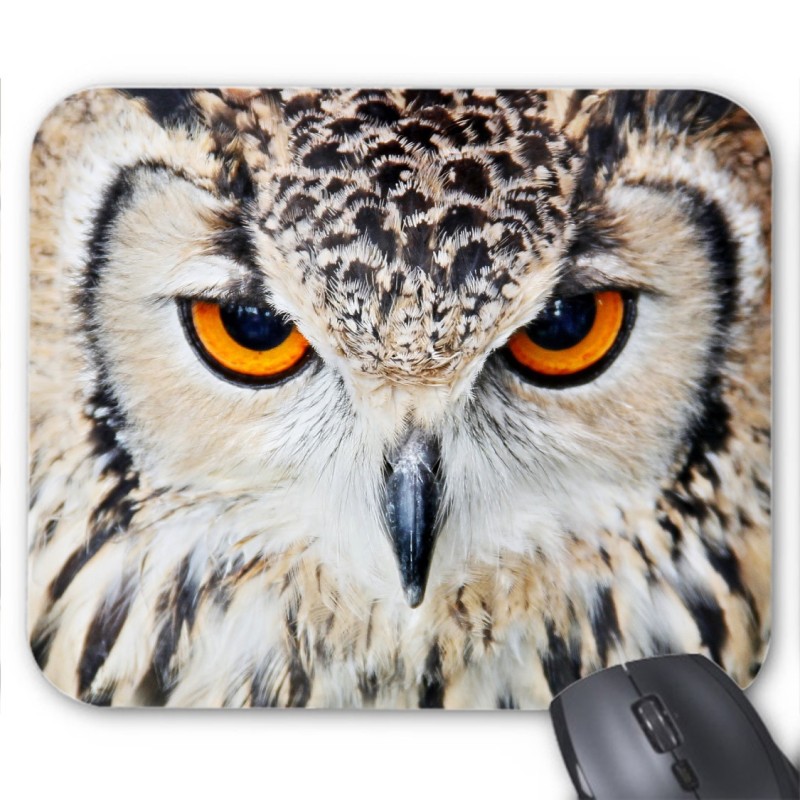 Tapis de souris hibou 