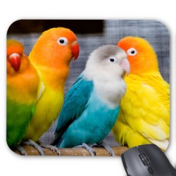 Tapis de souris perroquet 