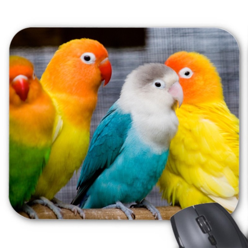 Tapis de souris perroquet 