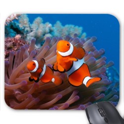 Tapis de souris perroquet 