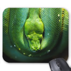Tapis de souris serpent 