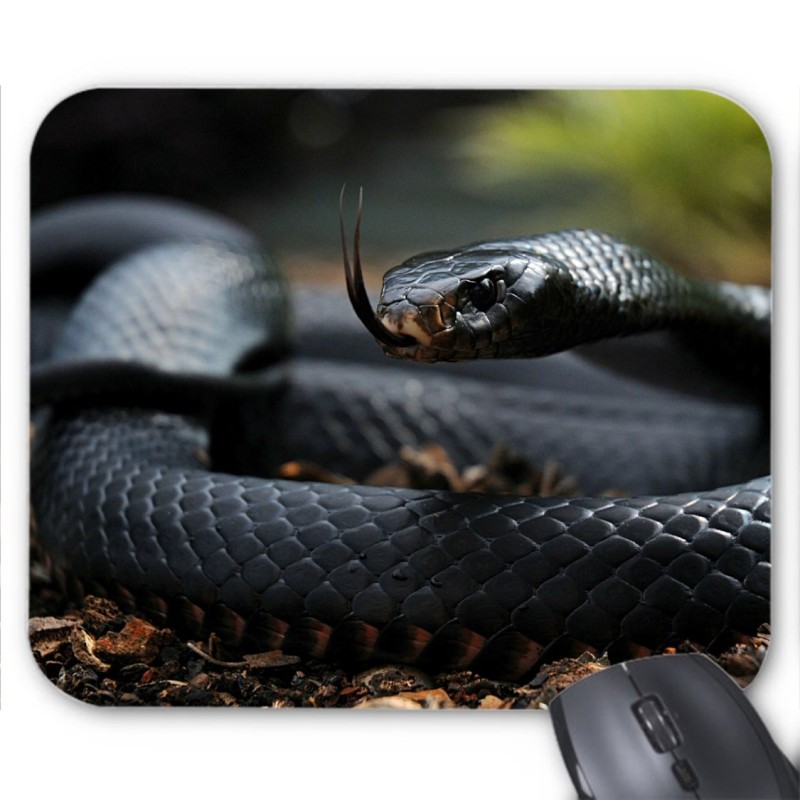 Tapis de souris serpent 