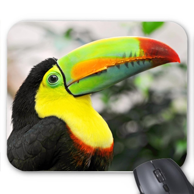 Tapis de souris toucan