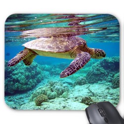 Tapis de souris tortue 