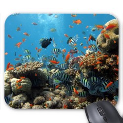 Tapis de souris poissons 