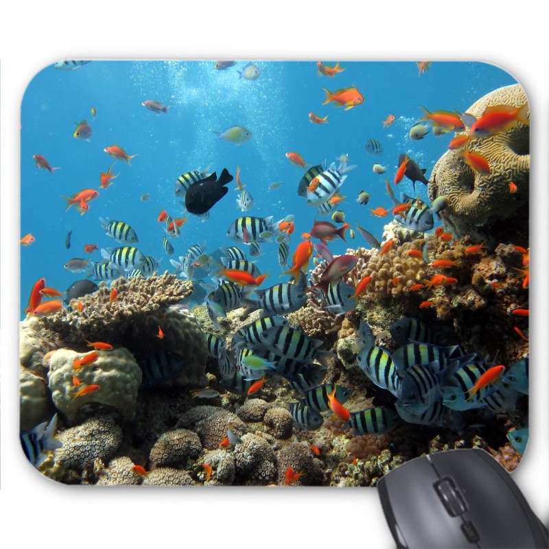 Tapis de souris poissons 