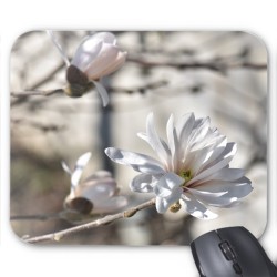 Tapis de souris Fleurs blanches