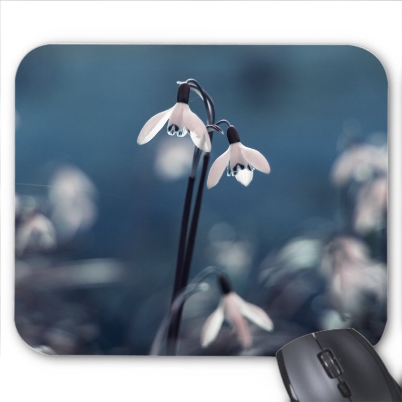Tapis de souris Fleurs blanches
