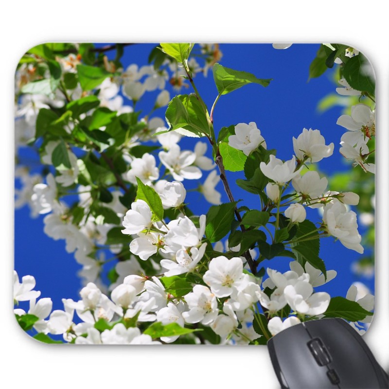 Tapis de souris Fleurs blanches