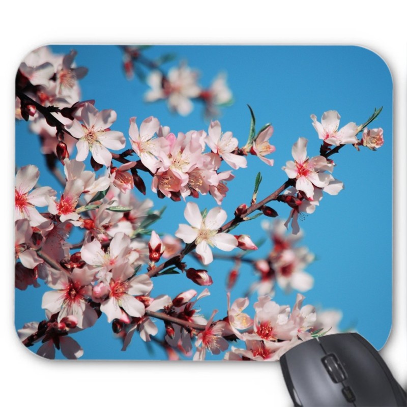 Tapis de souris Fleurs blanches