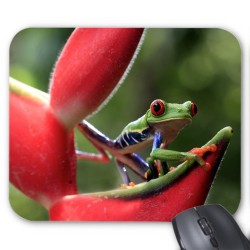 Tapis de souris Grenouille