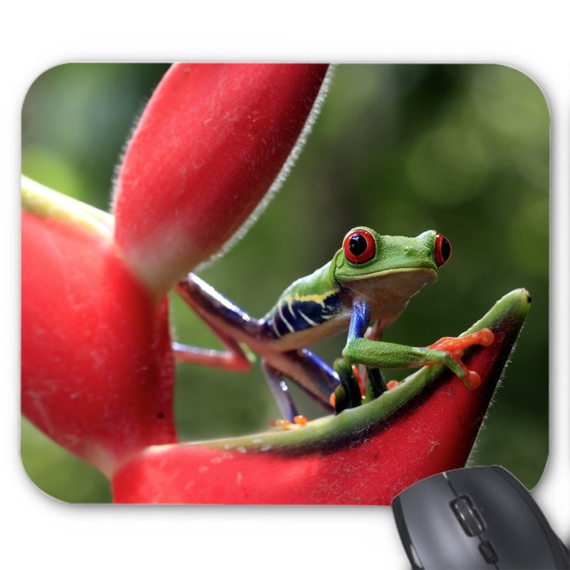 Tapis de souris Grenouille