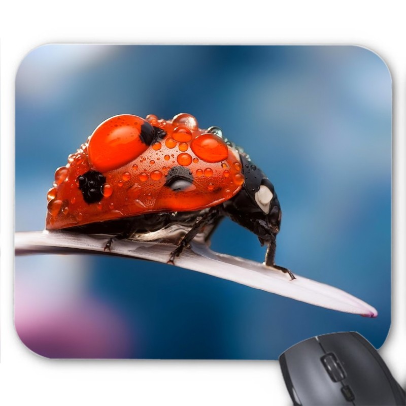 Tapis de souris Coccinelle