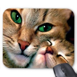 Tapis de souris Chat chaton