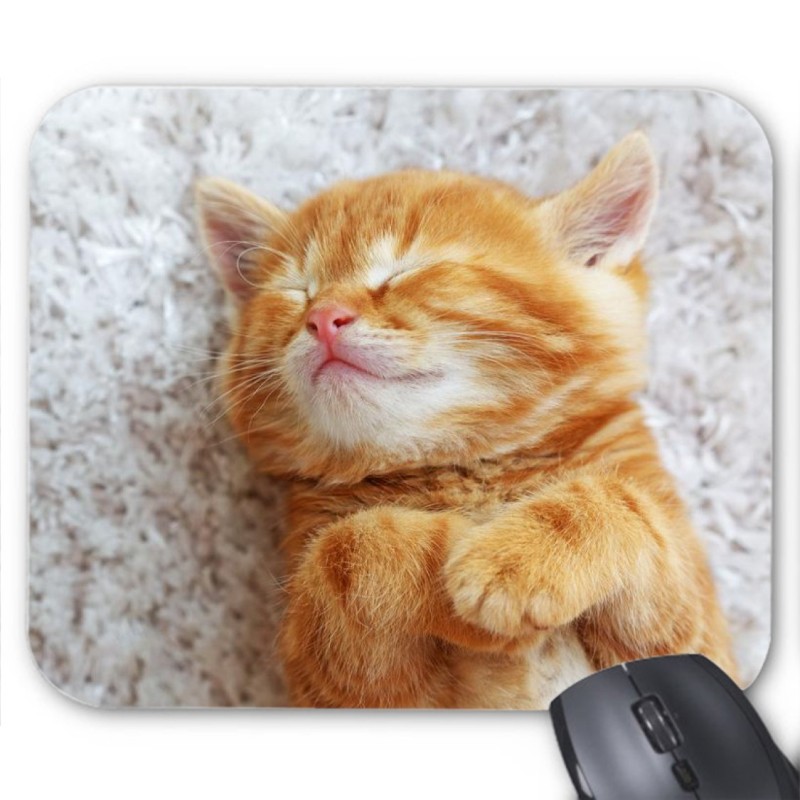 Tapis de souris Chaton
