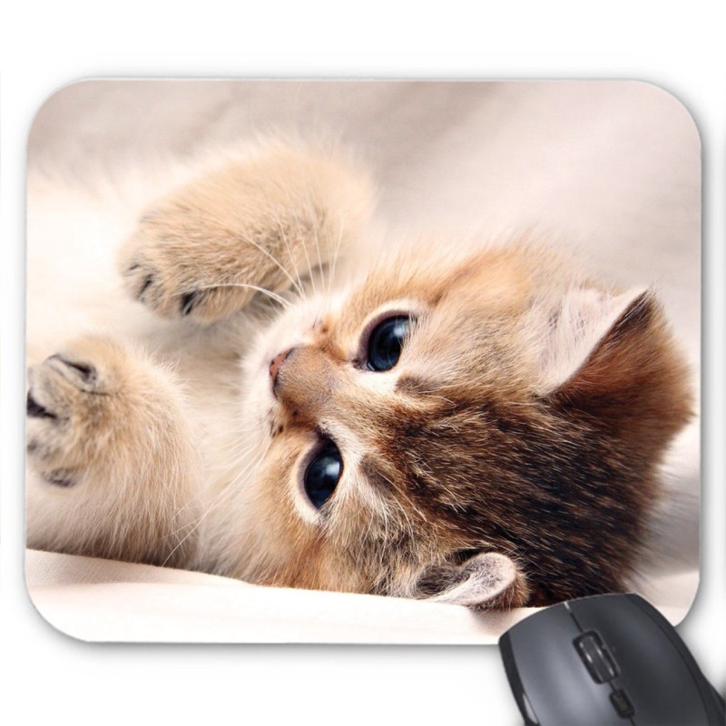 Tapis de souris Chaton 